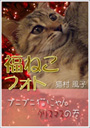 福ねこフォト〜プニプニ猫にゃんクリスマスの巻 表紙イメージ