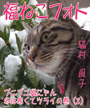 福ねこフォト～プニプニ猫にゃん　 冬は寒くてツライの巻（2） 表紙イメージ