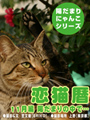 恋猫暦〜11月編 陽だまりの中で… 表紙イメージ